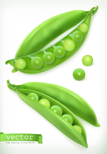 ilustrações de stock, clip art, desenhos animados e ícones de pea pod. vegetable 3d vector icon - green pea pea pod vegetable freshness