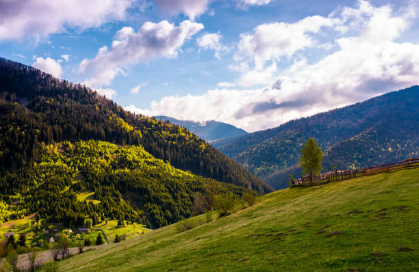 istock beautiful scenery in mountainous rural area 921085956