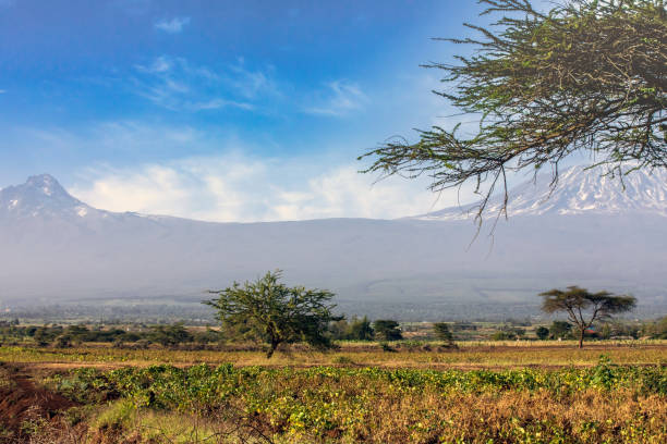 istock mt Mawenzi and Kilimanjaro with Acacia Tree 921088838