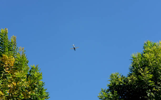 istock Blur of plane flying with blue sky background 921092446