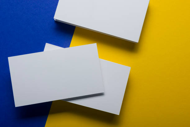 istock Business cards Mockup on color background. Flat Lay. copy space for text 921092876