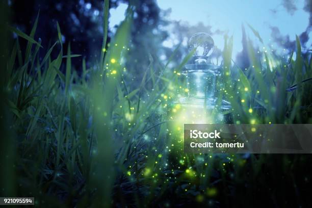 Magical Fairy Dust Potion In Bottle In The Forest Stock Photo - Download Image Now - Fairy, Fantasy, Firefly