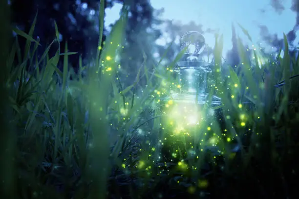 Magical fairy dust potion in bottle in the forest