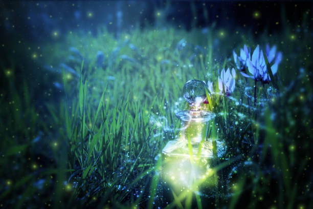 istock Magical fairy dust potion in bottle in the forest 921095610
