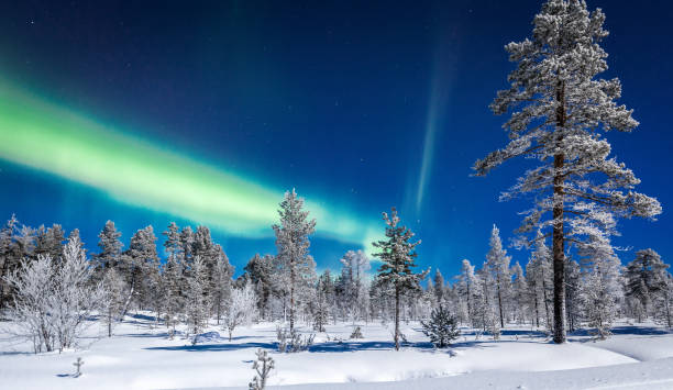 aurores boréales au-dessus de paysages de pays des merveilles d’hiver en scandinavie - aurora borealis aurora polaris lapland finland photos et images de collection