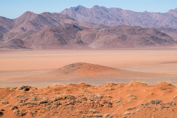 istock Namib Rand Nature Reserve, Namibia 921104104