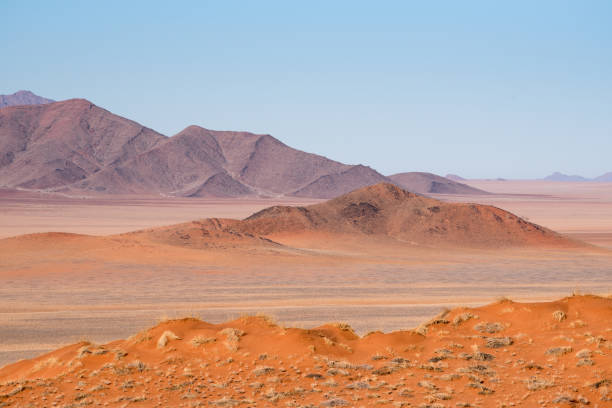 istock Namib Rand Nature Reserve, Namibia 921104282