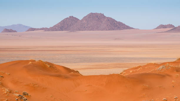 istock Namib Rand Nature Reserve, Namibia 921104302