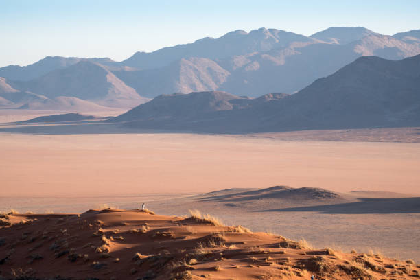 istock Namib Rand Nature Reserve, Namibia 921104382
