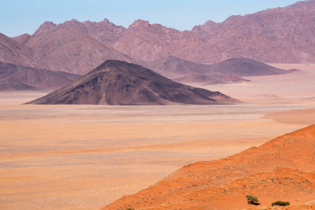 istock Namib Rand Nature Reserve, Namibia 921104446