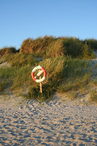 salvataggio boa su una spiaggia - abrasiveness foto e immagini stock