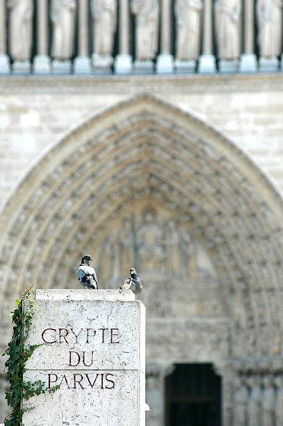 Crypte Du Parvis - Photo