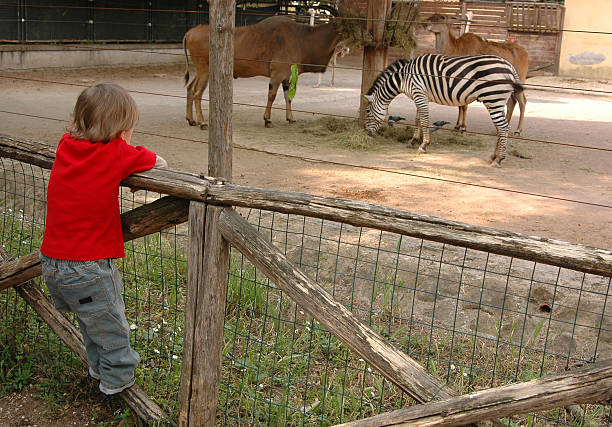 istock Toddler at the Zoo 92111220