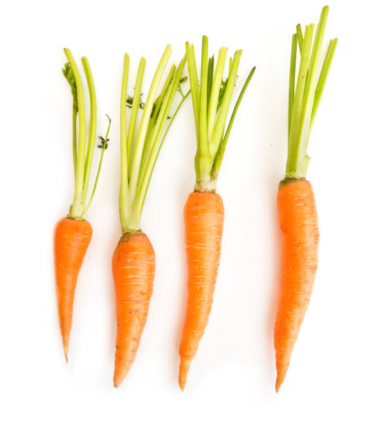 fresh carrots with leaves on white stock photo