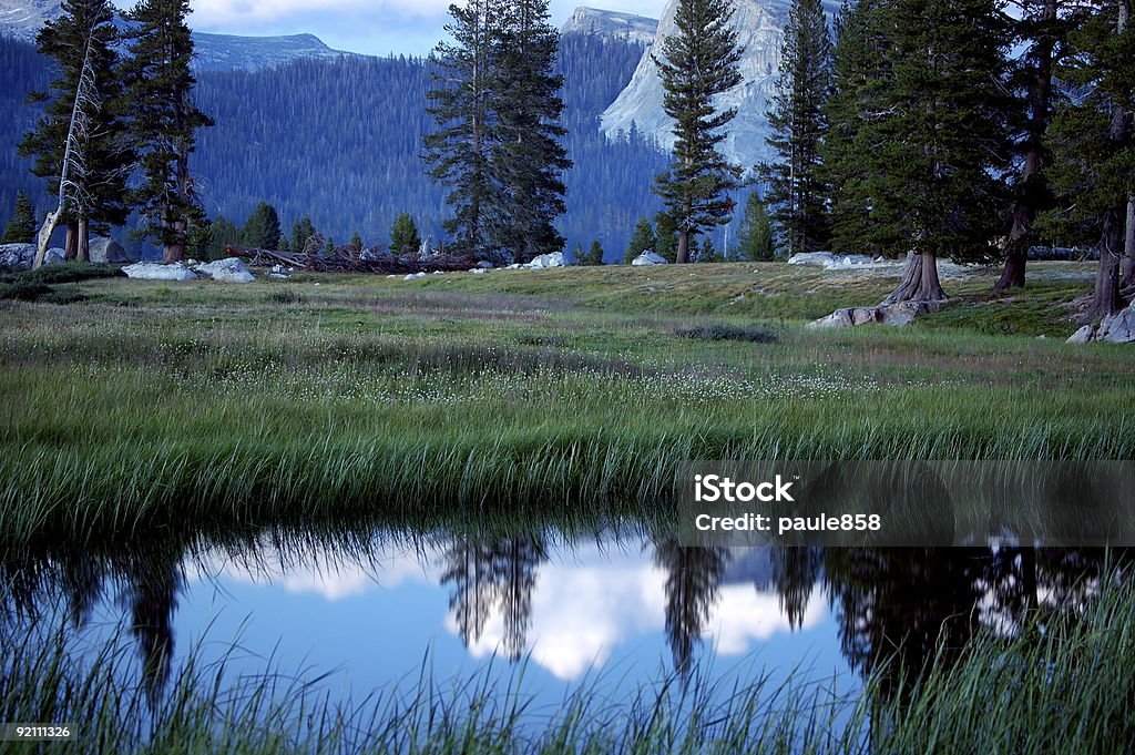 Reflejo de Yosemite - Foto de stock de Color - Tipo de imagen libre de derechos