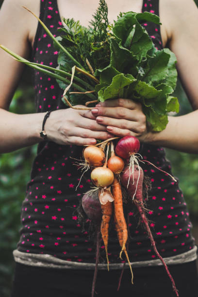 istock Harvest vegetables: a bunch of fresh vegetables in their hands (beets, carrots, beans, onions, garlic and others) 921113340