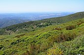 Monchique mountain Landscape, Portugal.