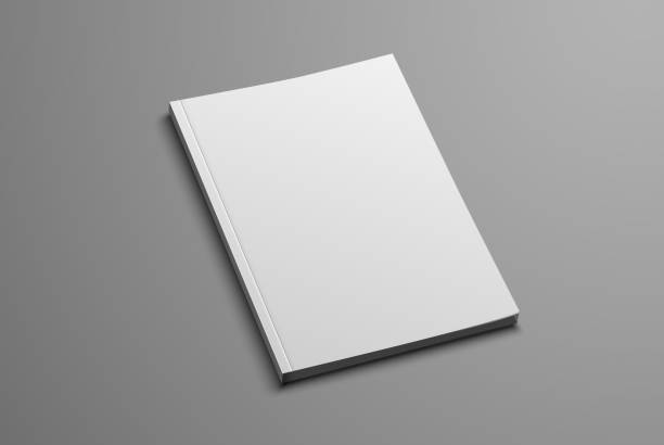 Vector mockup for the presentation of the brochure. Vector mockup for the presentation of the brochure. White realistic blank of A4 and A5 catalog on a gray background magazine stock illustrations