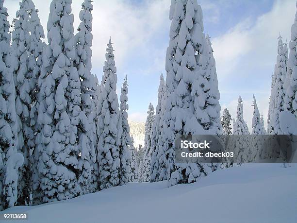 Schneebedeckte Bäume Stockfoto und mehr Bilder von Farbbild - Farbbild, Fotografie, Horizontal