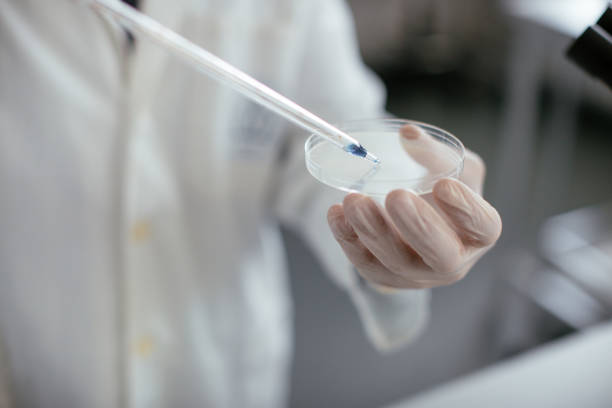 istock Senior male scientist doing research 921137400