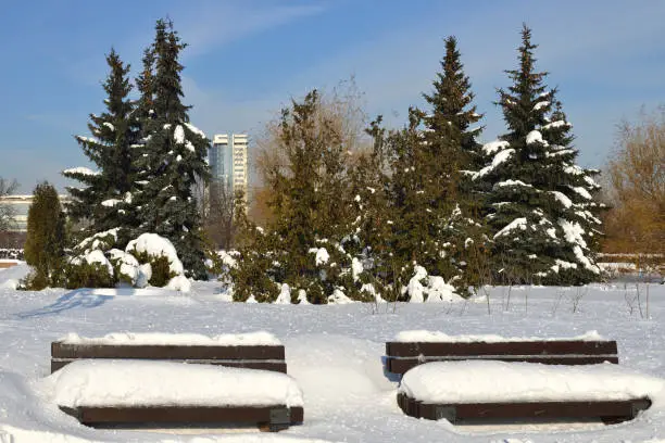 Photo of Snow-covered benches in park. Moscow, Russia. Winter landscape