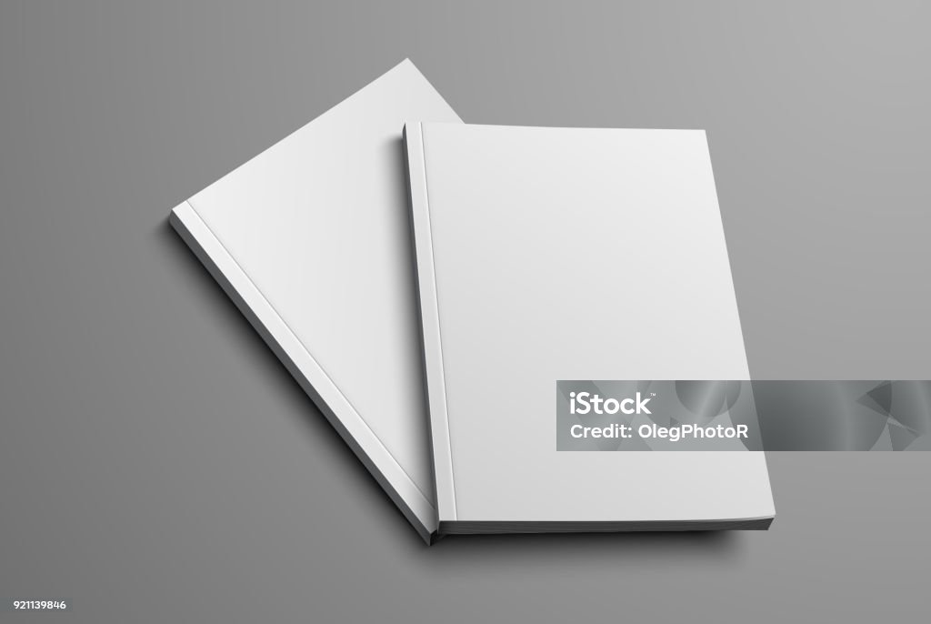 realistic layout of the brochure for the presentation of the cover. A realistic layout of the brochure for the presentation of the cover. Two vector catalog mockup format A4 and A5 on a gray background. Set. Template stock vector