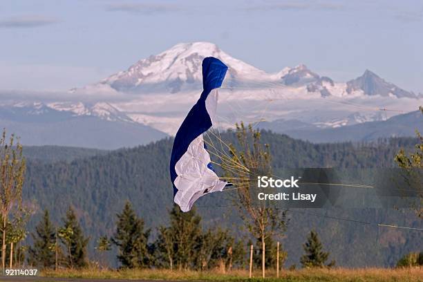 Voar Um Kite - Fotografias de stock e mais imagens de Abbotsford - Escócia - Abbotsford - Escócia, Ao Ar Livre, Atividade