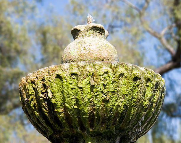 Chorro de agua transparente y cristalina rompiendo contra la base de piedra ( haciendo burbujas ) en pilon o  fuente . Agua llena de li­quenes verdes -  Jet and crystal clear water lapping against the stone base ( blowing bubbles ) in trough or fountain . Water filled with green lichen