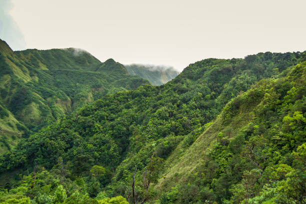 istock Boiling Lake Hike Dominica 921142698