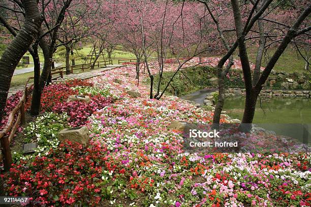 Fallenden Blumen Stockfoto und mehr Bilder von Farbbild - Farbbild, Fotografie, Freier Fall