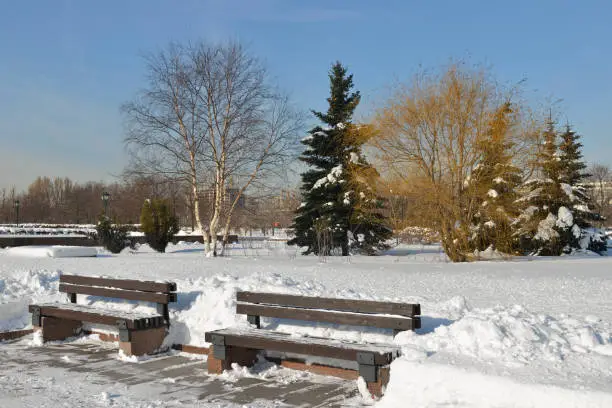 Photo of Winter Moscow. Benches in snow-covered park