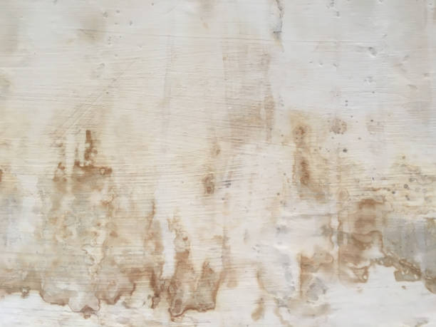 istock Grungy painted wall texture as background. Cracked concrete vintage wall background, old white painted wall. Background white painting. 921146070