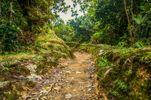 boiling lake hike dominica mountain adventure