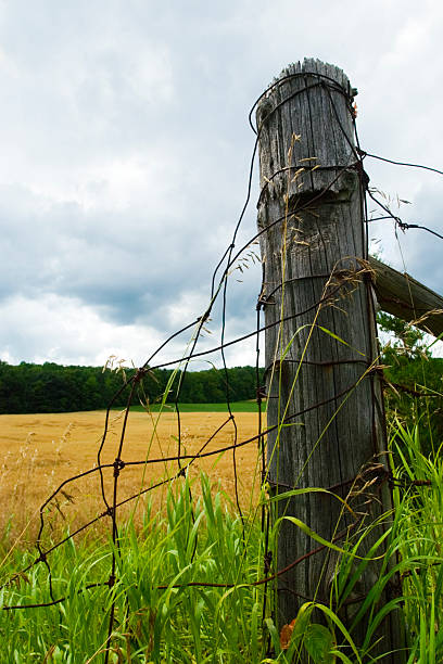 istock Wooden Fence Post 92114718