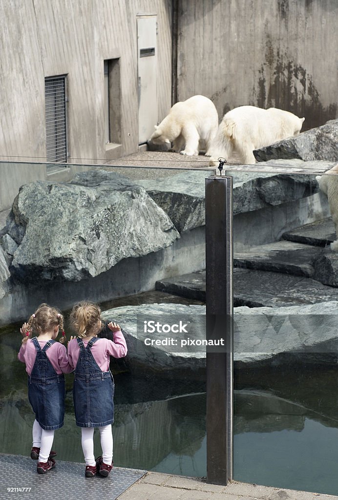 Twinsize-Betten - Lizenzfrei Zoo Stock-Foto