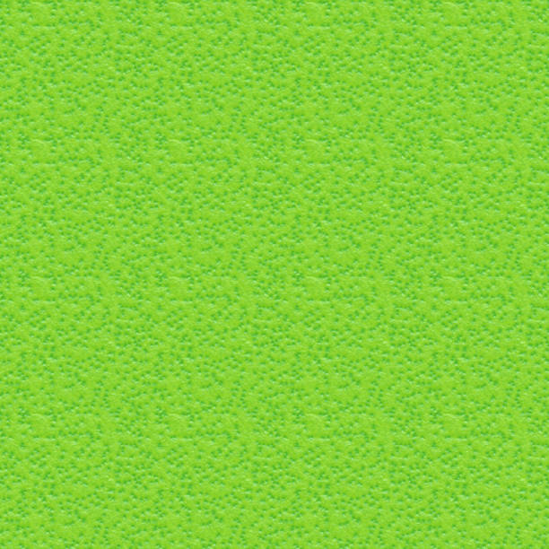 Fruit Citrus Produce Skin HD Seamless Tile 04 Lime Limetta stock photo