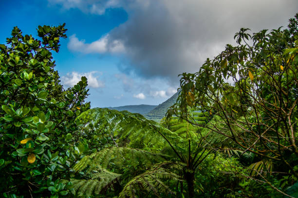 istock Boiling Lake Hike Dominica 921148974