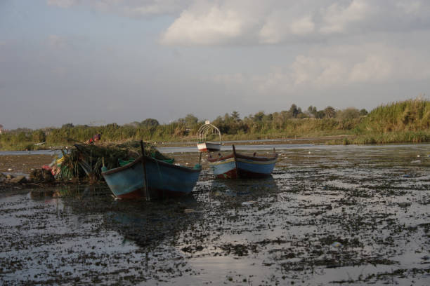 istock Boats on the Nile 921154100
