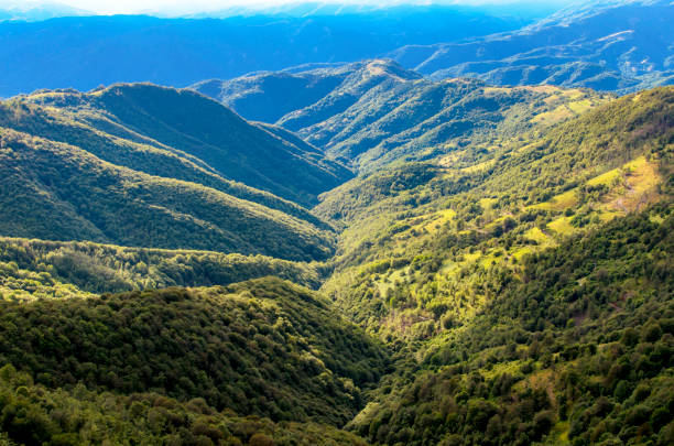 istock Stara planina mountain in Serbia 921163436