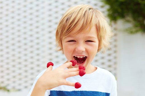 delighted kid, boy tasting ripe and fresh raspberries from his fingers