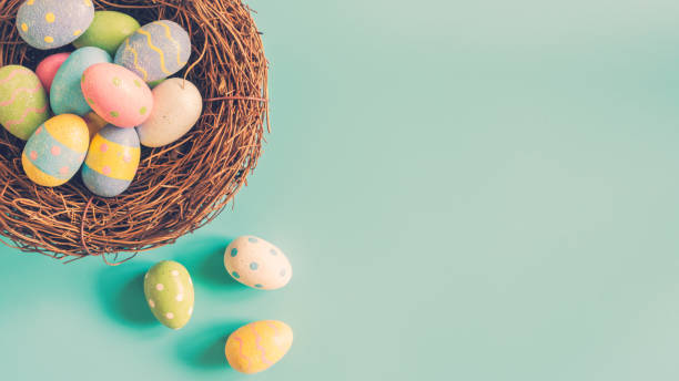 istock Colorful easter egg and nest on green pastel color background with space. 921176622