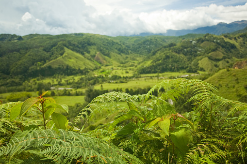 Colombian Landscape In The Coffee Region Near Salento