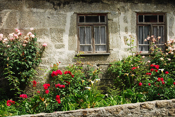 Old house, detail, window, Croatia