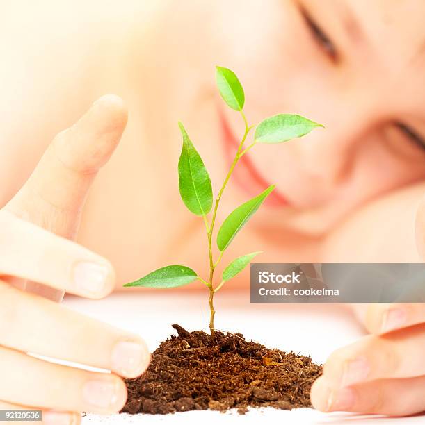 Junge Und Plant Stockfoto und mehr Bilder von Baum - Baum, Blatt - Pflanzenbestandteile, Erwachsene Person