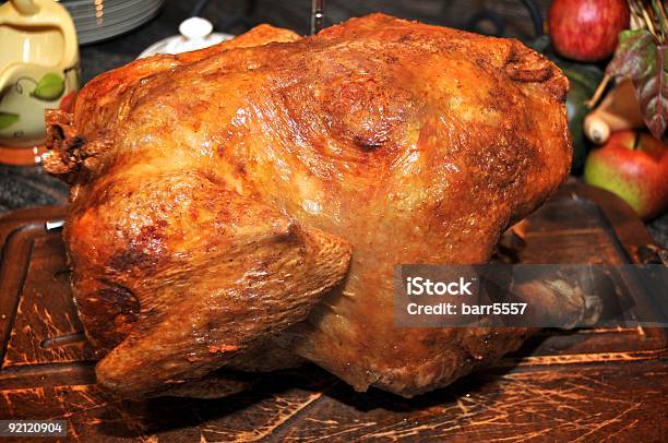 Frito Em Gordura Abundante Thanksgiving Turquia - Fotografias de stock e mais imagens de Peru - Carne Branca - Peru - Carne Branca, Frito em Gordura Abundante, Frito