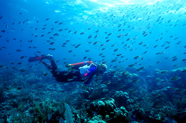 Deep sea diver swimming with the fish stock photo