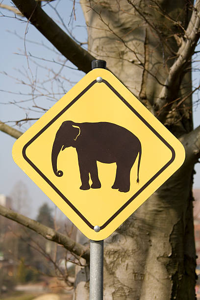 elephant sign vertical stock photo