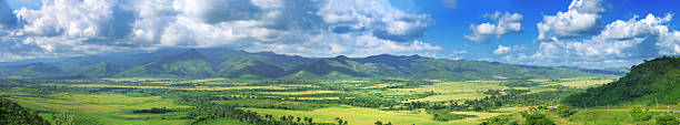 Green field panorama stock photo