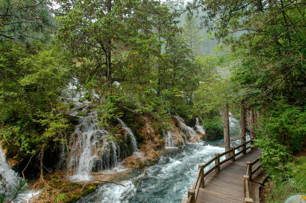 istock Jiuzhaigou National Park, China 921222332