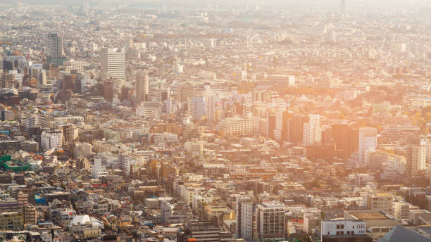 istock Aerial view crowded Tokyo residence area 921224476